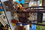 Sale Photo Thumbnail #5