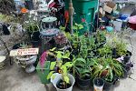 Sale Photo Thumbnail #13
