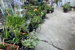 Sale Photo Thumbnail #11