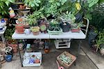 Sale Photo Thumbnail #14