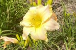 Sale Photo Thumbnail #54