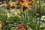 Sale Photo Thumbnail #53