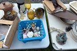 Sale Photo Thumbnail #27