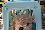 Sale Photo Thumbnail #13