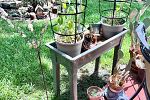 Sale Photo Thumbnail #50