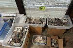 Sale Photo Thumbnail #29
