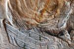 Sale Photo Thumbnail #38