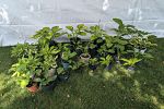 Sale Photo Thumbnail #19