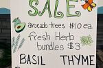 Sale Photo Thumbnail #4