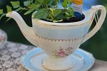Sale Photo Thumbnail #15