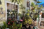 Sale Photo Thumbnail #31
