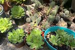Sale Photo Thumbnail #31
