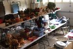 Sale Photo Thumbnail #6