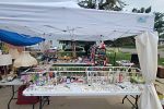 Sale Photo Thumbnail #12