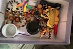 Sale Photo Thumbnail #23