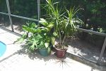 Sale Photo Thumbnail #39