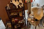 Sale Photo Thumbnail #46
