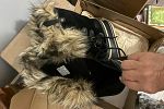 Sale Photo Thumbnail #20