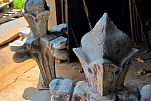 Sale Photo Thumbnail #186