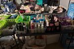 Sale Photo Thumbnail #23