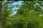 Sale Photo Thumbnail #30