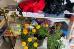 Sale Photo Thumbnail #20