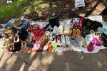 Sale Photo Thumbnail #3