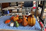 Sale Photo Thumbnail #20