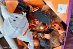 Sale Photo Thumbnail #14