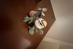 Sale Photo Thumbnail #52