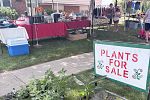 Sale Photo Thumbnail #5