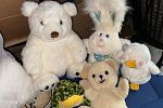 Sale Photo Thumbnail #16