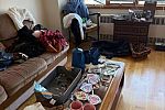 Sale Photo Thumbnail #4