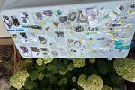 Sale Photo Thumbnail #12