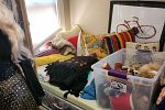 Sale Photo Thumbnail #75