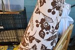 Sale Photo Thumbnail #178