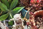 Sale Photo Thumbnail #249
