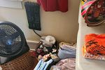 Sale Photo Thumbnail #51