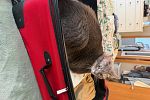Sale Photo Thumbnail #13