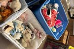 Sale Photo Thumbnail #18