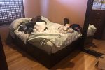 Sale Photo Thumbnail #57