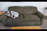 Sale Photo Thumbnail #42