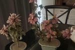 Sale Photo Thumbnail #10
