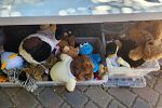 Sale Photo Thumbnail #65