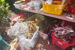 Sale Photo Thumbnail #72