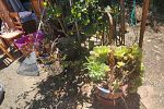 Sale Photo Thumbnail #60