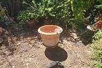 Sale Photo Thumbnail #70
