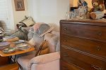 Sale Photo Thumbnail #12