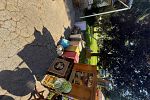Sale Photo Thumbnail #25