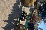 Sale Photo Thumbnail #39